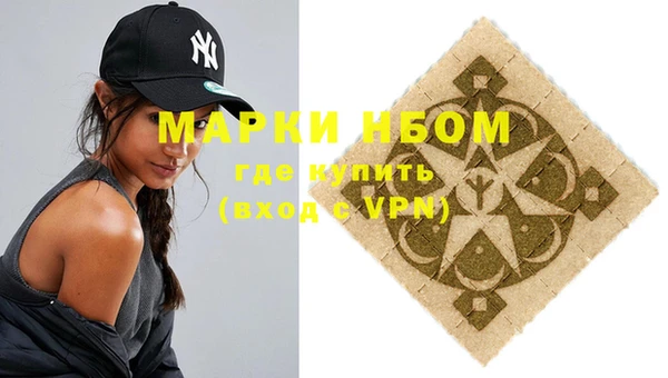 гашик Пестово