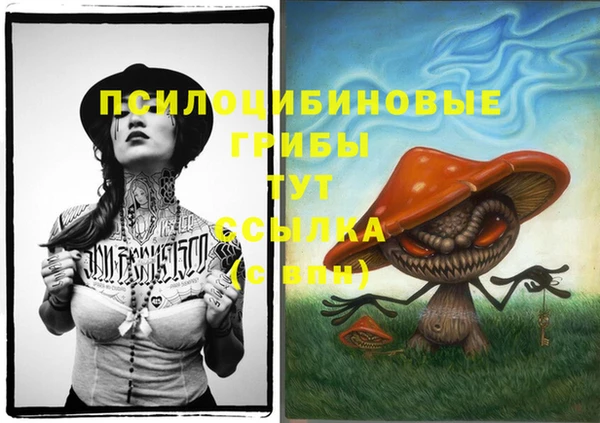 герыч Переславль-Залесский