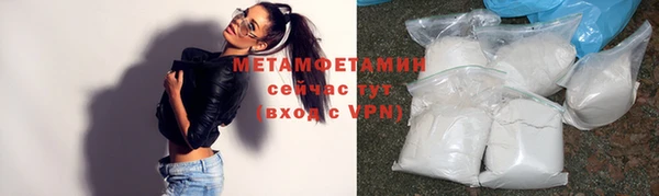прущие грибы Покачи
