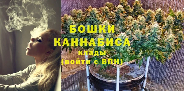 прущие грибы Покачи