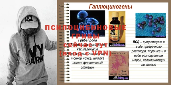 гашик Пестово
