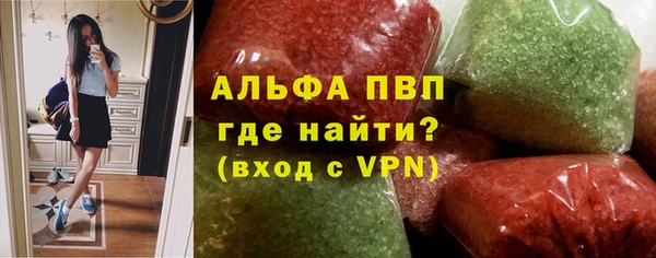 гашик Пестово