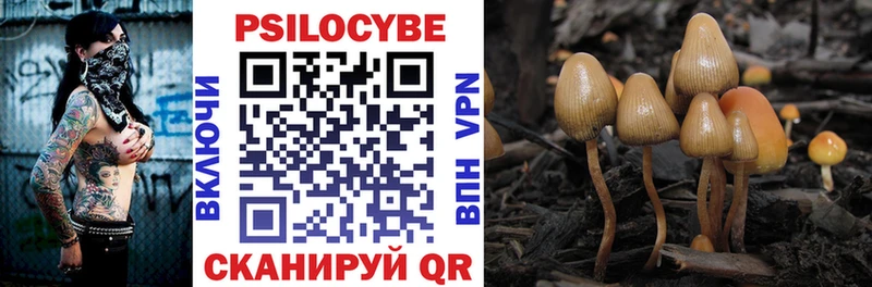 Псилоцибиновые грибы прущие грибы Терек