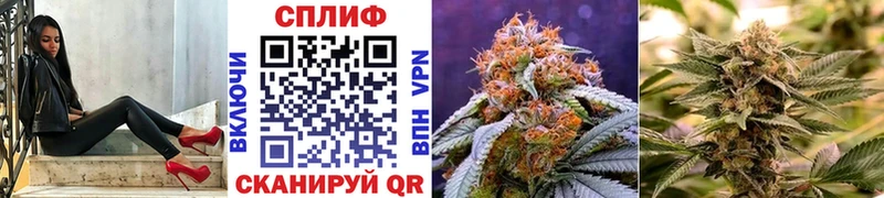 купить  цена  Терек  Конопля ГИДРОПОН 